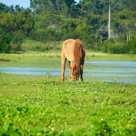 Herdade Monte Do Sol-3